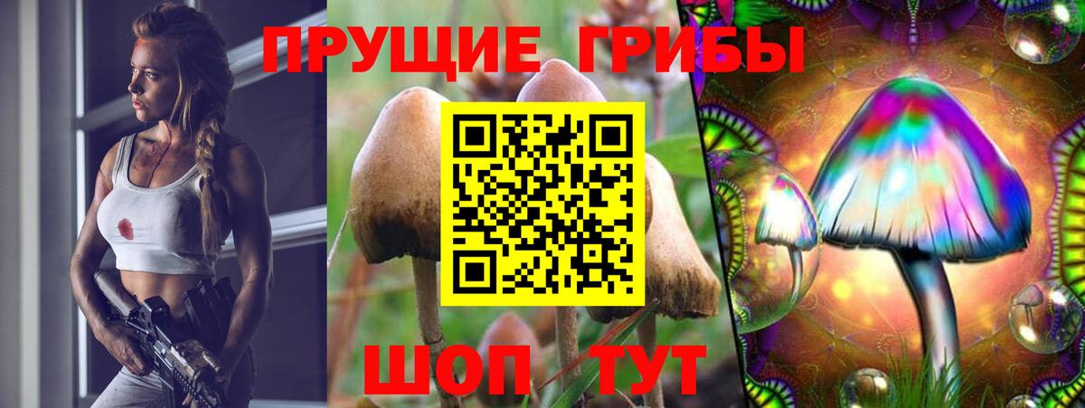 Псилоцибиновые грибы мицелий  Вход с VPN  Когалым  наркотики  Галлюциногенные грибы MAGIC MUSHROOMS 